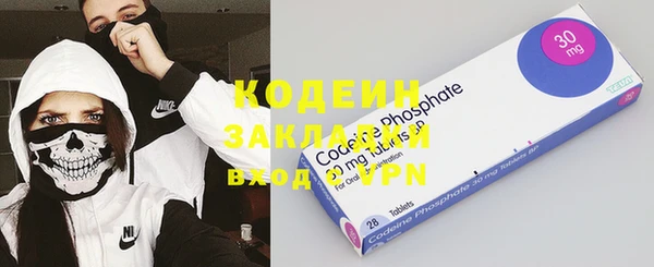 хмурый Алзамай