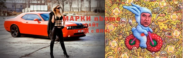 гашик Алексин