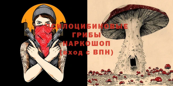 гашик Алексин