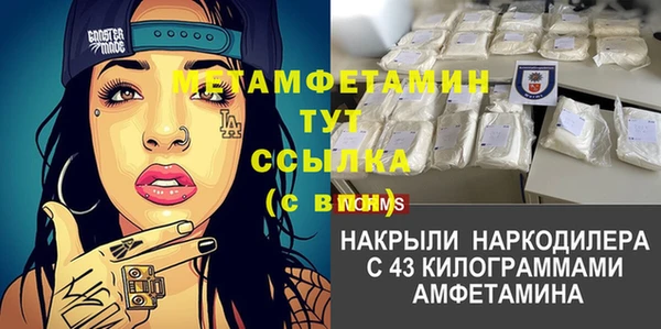 гашик Алексин