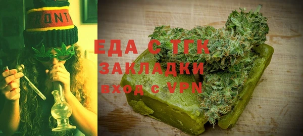 хмурый Алзамай