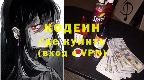 гашик Алексин