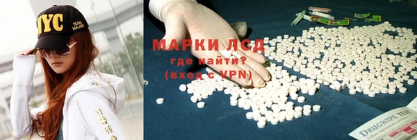 гашик Алексин